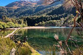 flor de chubut 1